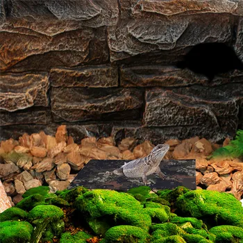 Fast Heating Pet Reptile USB Pad Waterproof Bendable Carbon Fiber Warmer Bed Mat Pad Adjustable Temperature Dropshipping
Fast Heating Pet Reptile USB Pad Waterproof Bendable Carbon Fiber Warmer Bed Mat Pad Adjustable Temperature Dropshipping