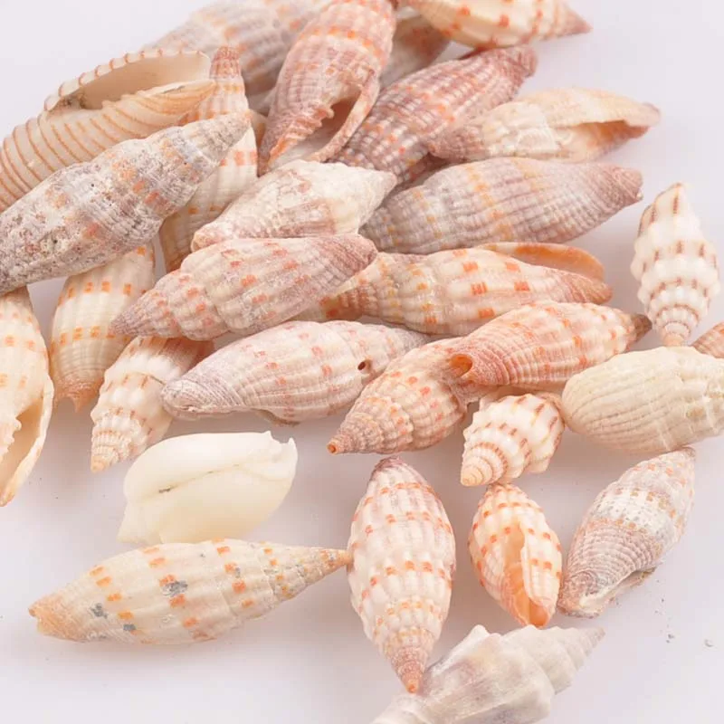 DSC_0192