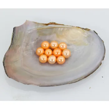 20pcs/lot Cheap 3A Quality!6-7MM Mixed Color Fashion Round Natural 28Colors Pearl Loose Beads DIY Jewelry Making Jacinth LR013
20pcs/lot Cheap 3A Quality!6-7MM Mixed Color Fashion Round Natural 28Colors Pearl Loose Beads DIY Jewelry Making Jacinth LR013