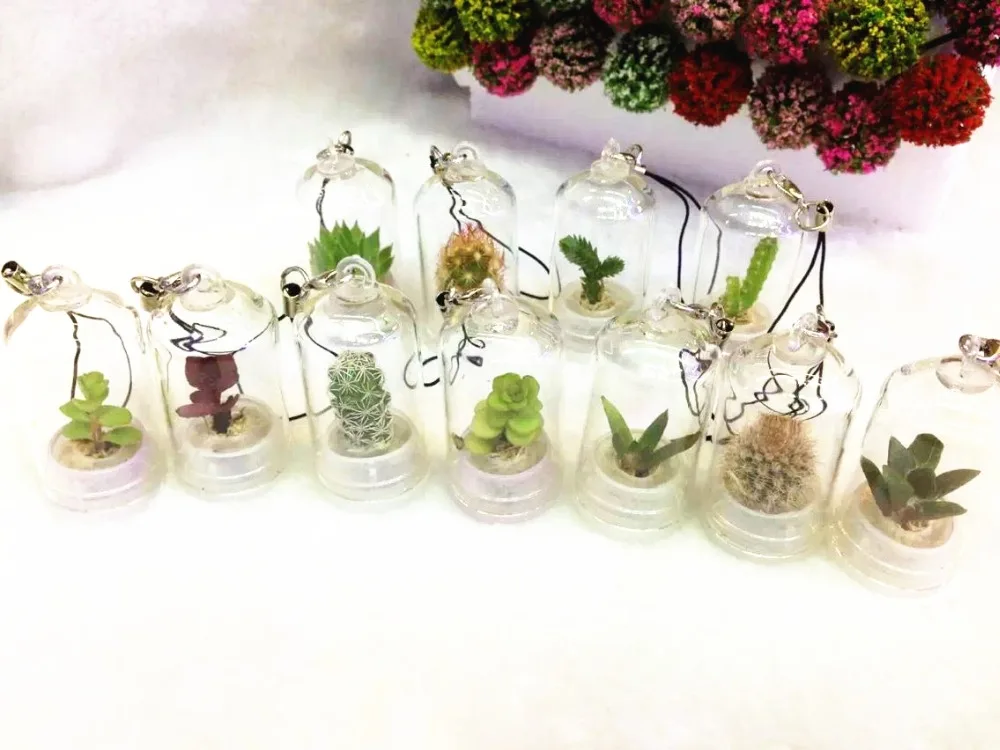 Free Shipping (20pcs/lot)Mini Cactus, Mini Plant Baby,Angel Greenhouse,Carry Farm,Plant Pendant,Radiation Protection,Pet Flower
Free Shipping (20pcs/lot)Mini Cactus, Mini Plant Baby,Angel Greenhouse,Carry Farm,Plant Pendant,Radiation Protection,Pet Flower