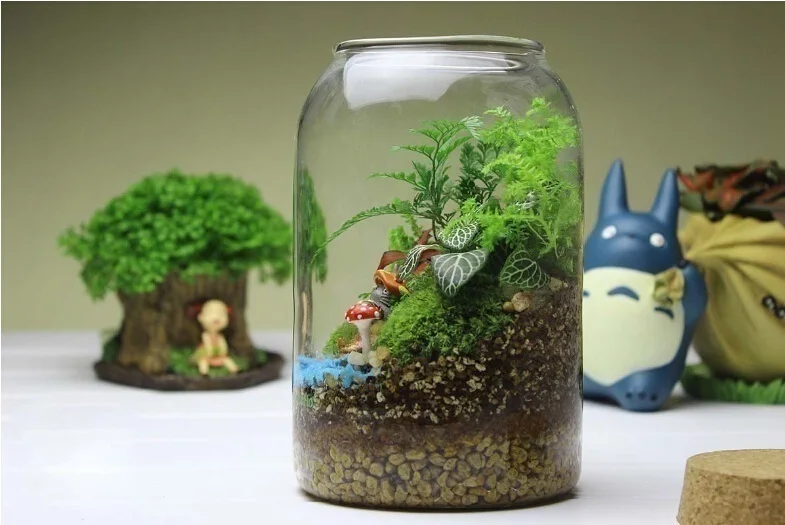 1pc Hot Selling Round Glass Vase Handmade Succulent Terrarium Kit Home Decoration Gift-round Bottom Op 164
1pc Hot Selling Round Glass Vase Handmade Succulent Terrarium Kit Home Decoration Gift-round Bottom Op 164