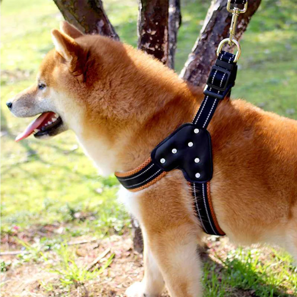1PC S/M/L Adjustable Soft Breathable Dog Harness Nylon Mesh Vest Harness for Dogs Puppy Collar Cat Pet Dog Chest Strap Leash
1PC S/M/L Adjustable Soft Breathable Dog Harness Nylon Mesh Vest Harness for Dogs Puppy Collar Cat Pet Dog Chest Strap Leash