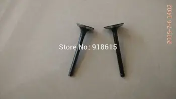 EX17 INTAKE VALVE AND EXHUAST VALVE EX21 IN&EX VALVE ROBIN SUBARU GAS ENGINE PARTS
EX17 INTAKE VALVE AND EXHUAST VALVE EX21 IN&EX VALVE ROBIN SUBARU GAS ENGINE PARTS