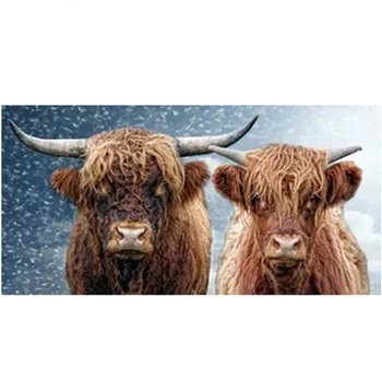 Diamond embroidery Highland cattle Diy diamond painting Full square round Cross Stitch 5d rhinestones drill MosaicZP-2116
Diamond embroidery Highland cattle Diy diamond painting Full square round Cross Stitch 5d rhinestones drill MosaicZP-2116
