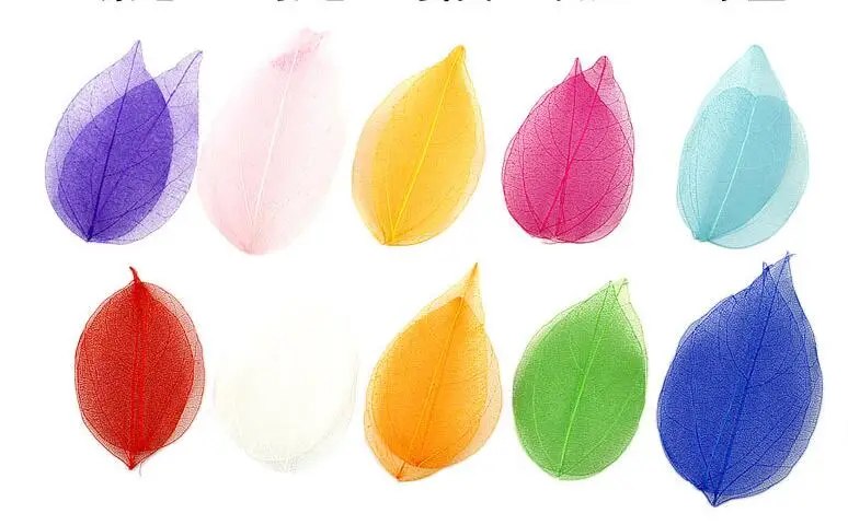 5-10cm colorful dry leaves for glass globe silicon mold resin jewelry filler DIY jewelry findings (10pcs/pack)
5-10cm colorful dry leaves for glass globe silicon mold resin jewelry filler DIY jewelry findings (10pcs/pack)