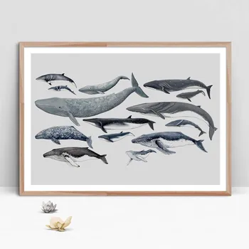 Whale Dolphin Marine Life Animals Art Prints Wall Art Canvas Painting Nordic Posters And Prints Wall Pictures Baby Room Decor
Whale Dolphin Marine Life Animals Art Prints Wall Art Canvas Painting Nordic Posters And Prints Wall Pictures Baby Room Decor