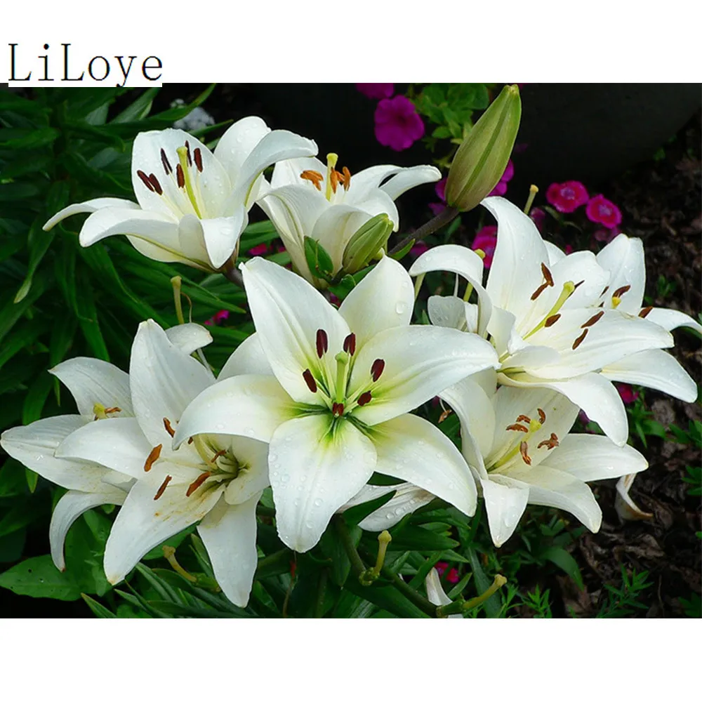 LI LOYE DIY lily Painting Full square 5D Diamond Cross stitch kits mosaic embroidery Flower painting Gift FZ279 | Дом и сад