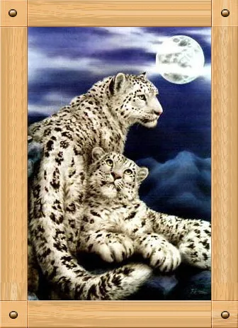Counted Cross-Stitch Kits Kit Home Decor D079 Blue Night Under The Moon Snow Leopard 11CT Embroidery On Needlework Cross Stitch
Counted Cross-Stitch Kits Kit Home Decor D079 Blue Night Under The Moon Snow Leopard 11CT Embroidery On Needlework Cross Stitch