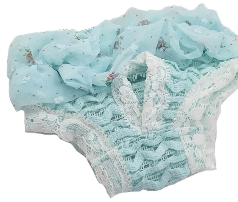 Dog safety shorts