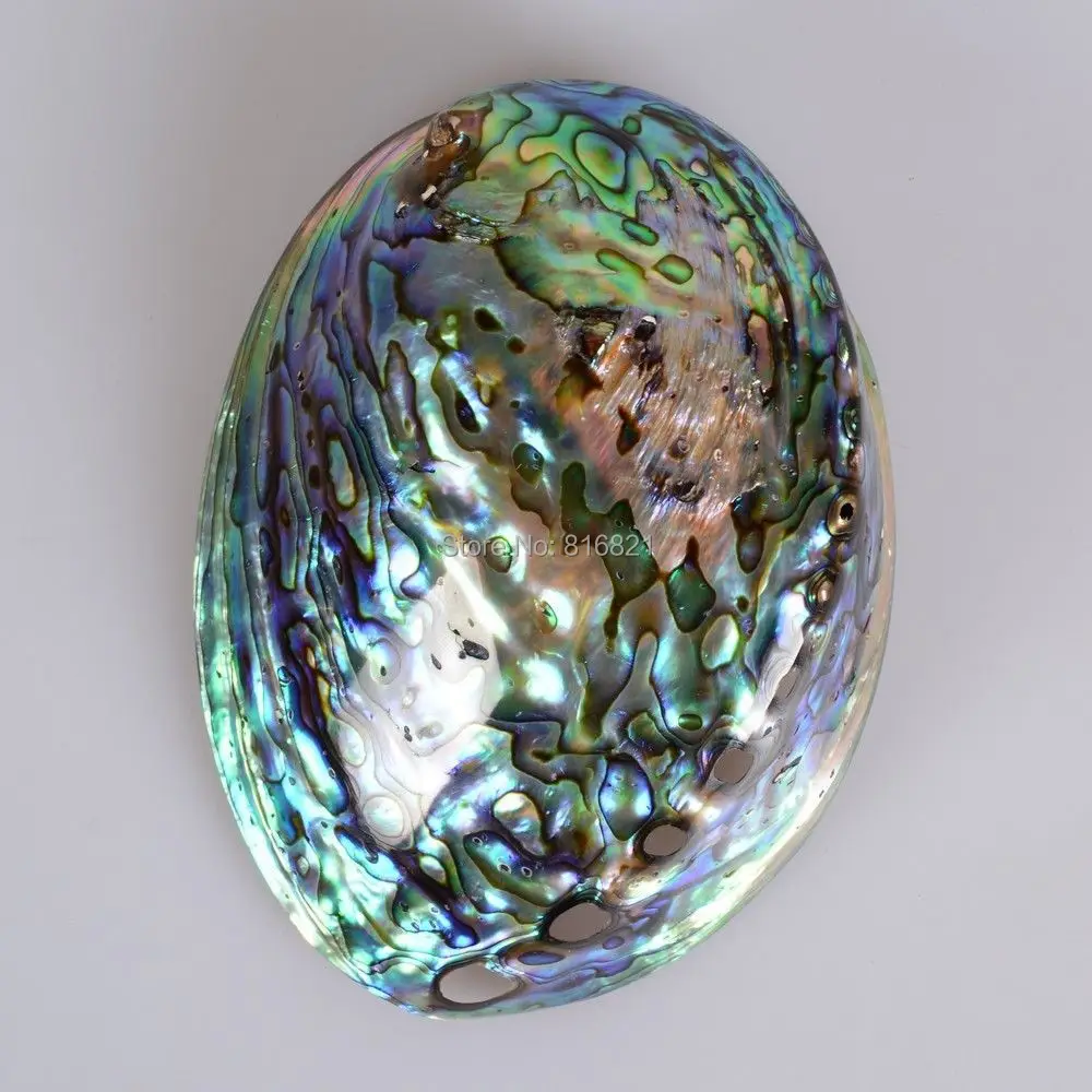 New Polished Natural Rainbow New Zealand Abalone Seashell MOP Abalone Shell Collectibles Displays Dector Craft 4.5" - 5"
New Polished Natural Rainbow New Zealand Abalone Seashell MOP Abalone Shell Collectibles Displays Dector Craft 4.5" - 5"