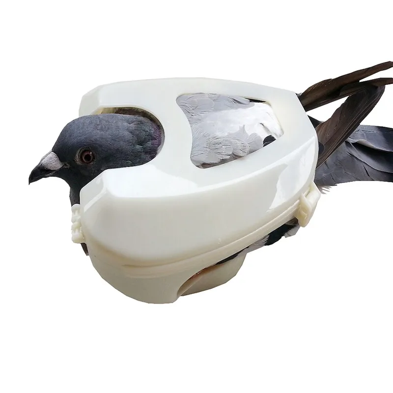 Pigeon Holder Pigeon Culture Management Equipment The Quality Of White Plastic Is Strong Fast Buckle Pigeons Are Good Helper
Pigeon Holder Pigeon Culture Management Equipment The Quality Of White Plastic Is Strong Fast Buckle Pigeons Are Good Helper