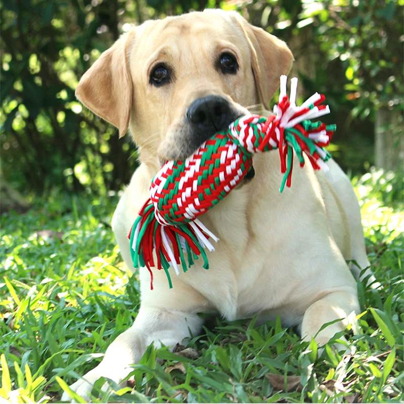 Pet molars Dogs Pets Toys Hand woven knot toys Pet cotton rope toy Small medium large dog Sounding candy cotton rope dog toys
Pet molars Dogs Pets Toys Hand woven knot toys Pet cotton rope toy Small medium large dog Sounding candy cotton rope dog toys