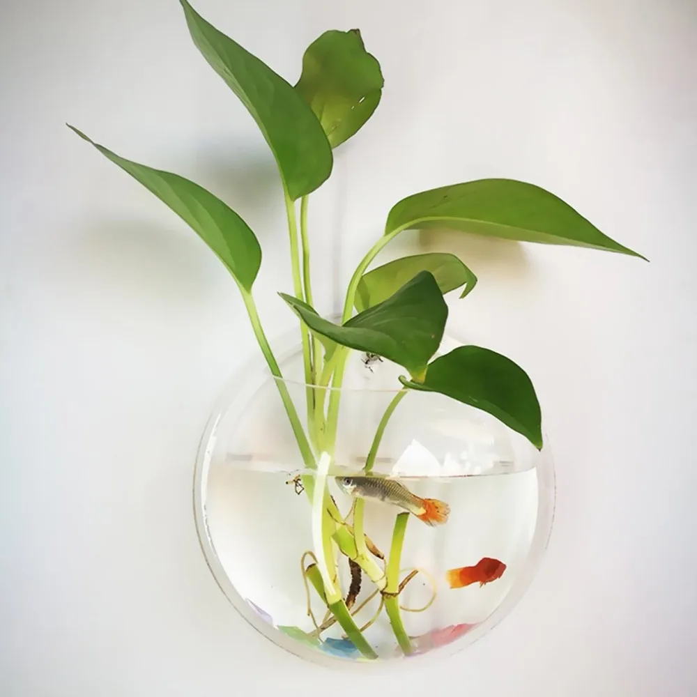 Popular 1PC High Borosilicate Glass Hanging Glass Flower Planter Vase Terrarium Container Home Garden Ball Decor
Popular 1PC High Borosilicate Glass Hanging Glass Flower Planter Vase Terrarium Container Home Garden Ball Decor