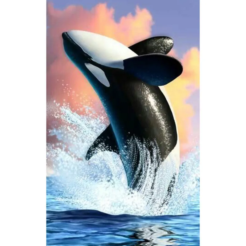 Full Square drill 5D DIY Diamond painting Whale Embroidery Mosaic Cross Stitch Rhinestone decor HYY
Full Square drill 5D DIY Diamond painting Whale Embroidery Mosaic Cross Stitch Rhinestone decor HYY