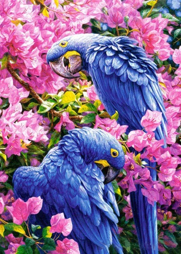 New DIY Diamond embroidery Landscape Animal parrot flowering shrubs Cross stitch Round drill Diamond Painting love Gifts
New DIY Diamond embroidery Landscape Animal parrot flowering shrubs Cross stitch Round drill Diamond Painting love Gifts