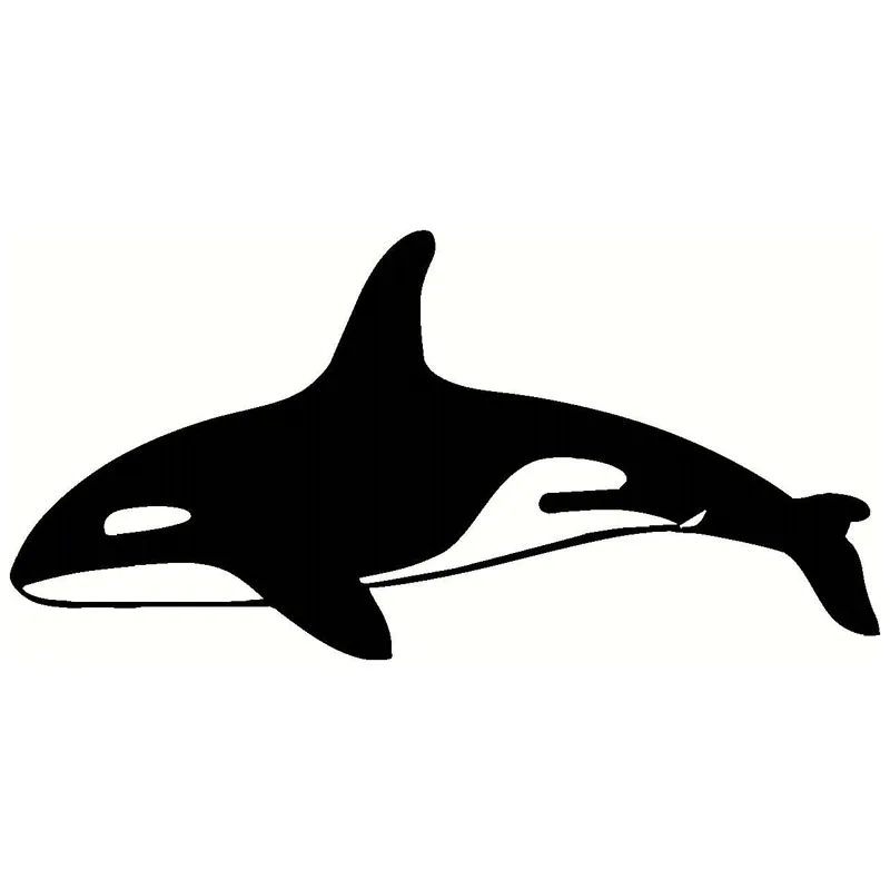 15.2*7.5CM Orca Killer Whale Fish Car Stickers Decals Classic Car Styling Decoration Accessories C4-0829
15.2*7.5CM Orca Killer Whale Fish Car Stickers Decals Classic Car Styling Decoration Accessories C4-0829