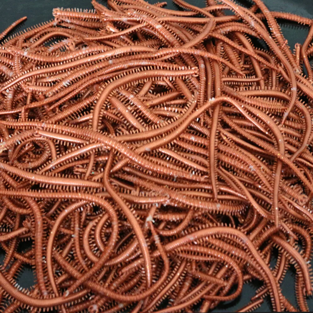 10 Pcs/Set Similation Rubber Fishing Baits Fishing Lures Millipedes Red Worm Fishing Tackle Accessories
10 Pcs/Set Similation Rubber Fishing Baits Fishing Lures Millipedes Red Worm Fishing Tackle Accessories