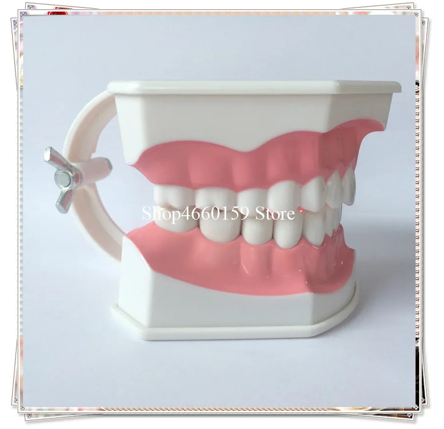 teeth brushing model-1