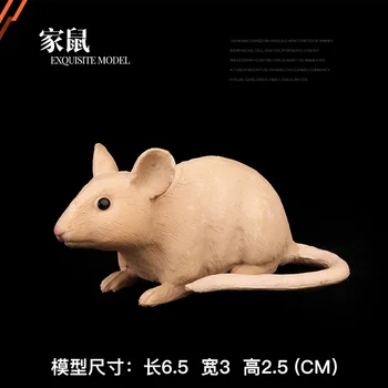 Simulation Model of Solid Children Animal Farm Rats Chinchillas Mice Mouse Pika Zoo Wildlife Rat Artware figurine statuette
Simulation Model of Solid Children Animal Farm Rats Chinchillas Mice Mouse Pika Zoo Wildlife Rat Artware figurine statuette