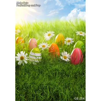 Custom spring field Easter eggs photo backdrop for kids photography portrait studio backgrounds
Custom spring field Easter eggs photo backdrop for kids photography portrait studio backgrounds