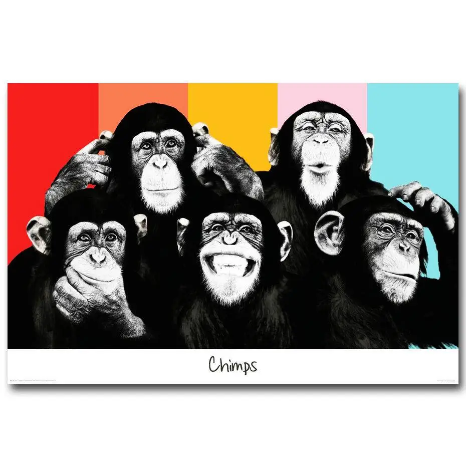 2124A The Chimps Funny Monkey Faces-Wall Sticker Silk Poster Light Canvas Decoration
2124A The Chimps Funny Monkey Faces-Wall Sticker Silk Poster Light Canvas Decoration