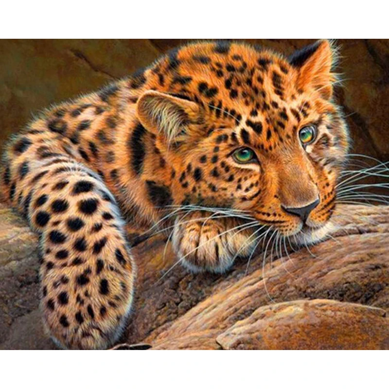 DIY Diamond Painting Needlework Flowers round Drill Mosaic Diamond embroidery Leopard Pattern Decoration Painting Icon
DIY Diamond Painting Needlework Flowers round Drill Mosaic Diamond embroidery Leopard Pattern Decoration Painting Icon