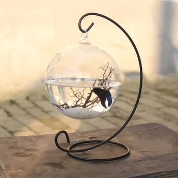 Behogar 15cm Diameter Clear Round Shape Hanging Glass Aquarium Fish Bowl Fish Tank Flower Plant Vase Home Decoration with Rack 
Behogar 15cm Diameter Clear Round Shape Hanging Glass Aquarium Fish Bowl Fish Tank Flower Plant Vase Home Decoration with Rack