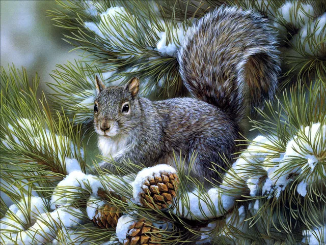 5d diy diamond painting Animal Squirrel Diamond Embroidery Cross stitch Full drilling Round drill Home Decoration
5d diy diamond painting Animal Squirrel Diamond Embroidery Cross stitch Full drilling Round drill Home Decoration
