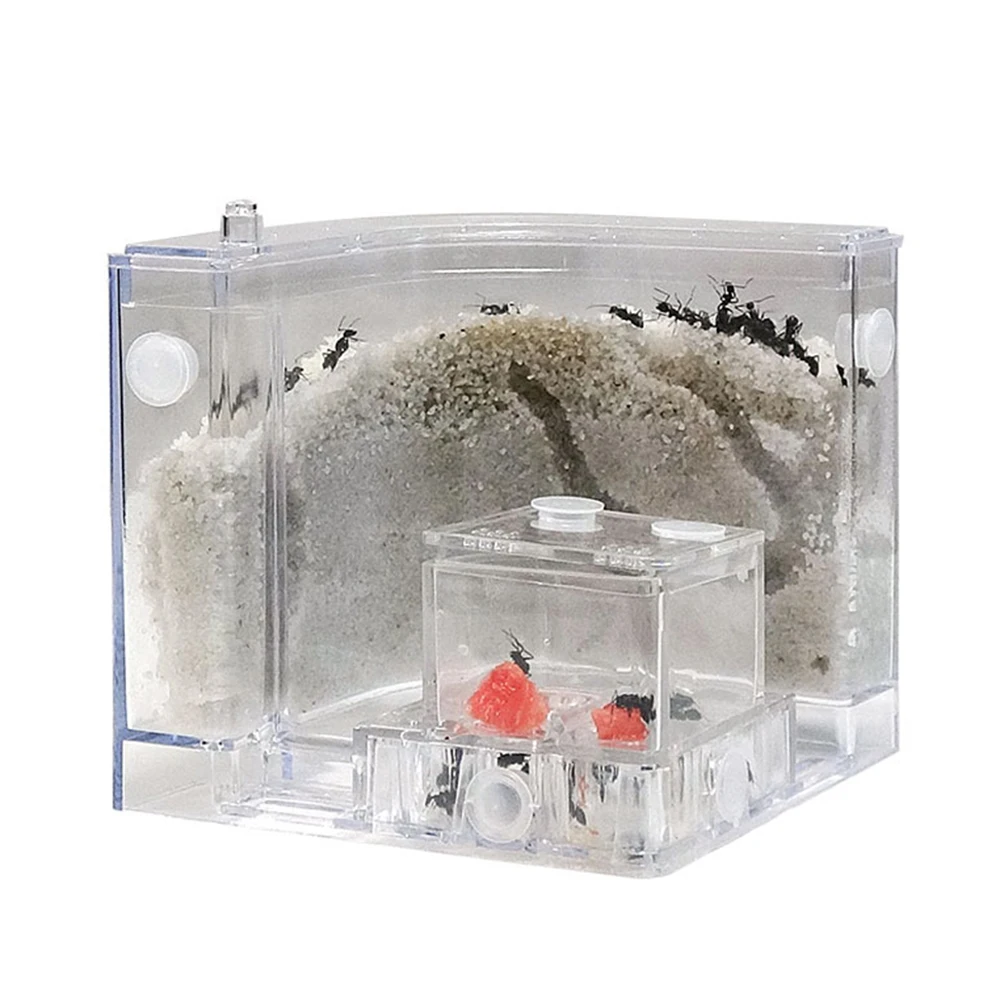Ant House Set Farm Educational Workshop Sand Nest DIY Transparent Cage Villa Accessories Ecological Breeding Plastic Kids Toy
Ant House Set Farm Educational Workshop Sand Nest DIY Transparent Cage Villa Accessories Ecological Breeding Plastic Kids Toy