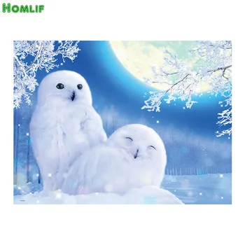 5D Diy Diamond Painting winter owl Cross Stitch diamond Mosaic Kits Home Decoration full Square Diamond Embroidery animal owl
5D Diy Diamond Painting winter owl Cross Stitch diamond Mosaic Kits Home Decoration full Square Diamond Embroidery animal owl