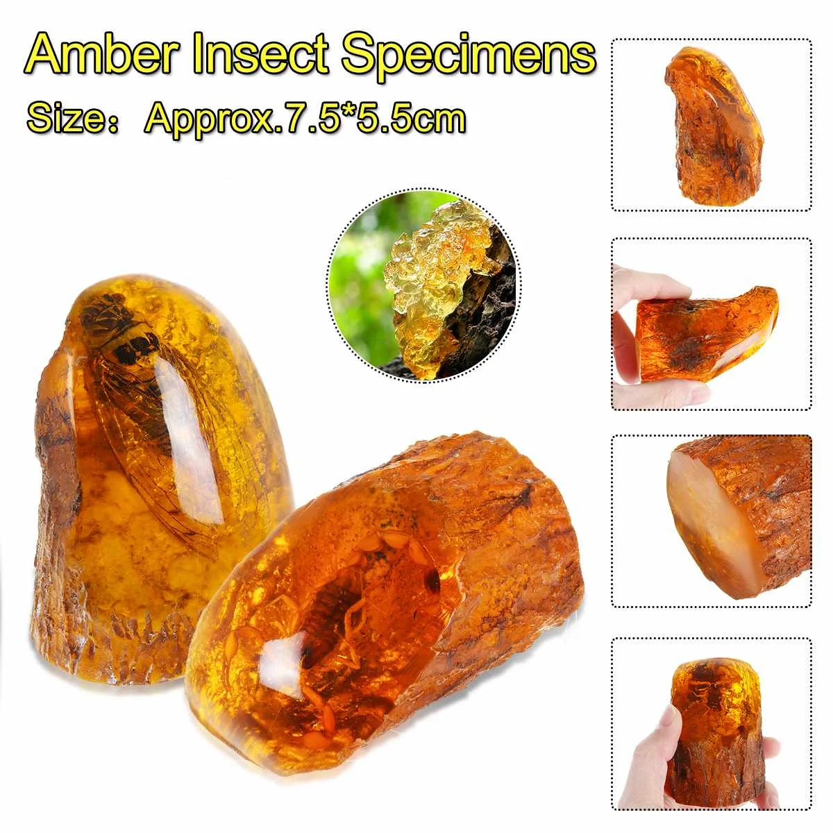 Amber Insects Scorpion Samples Stones Crystal Specimens Imitations Healing Home Decorations Collection
Amber Insects Scorpion Samples Stones Crystal Specimens Imitations Healing Home Decorations Collection