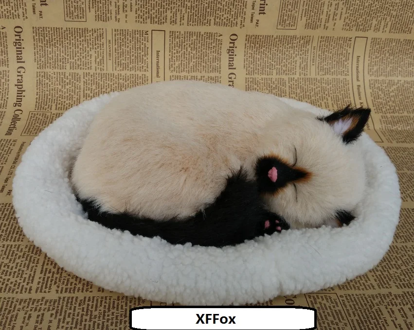 new real life Painted face cat model on a mat plastic&furs breathing beige cat doll gift about 26x17cm xf1362
new real life Painted face cat model on a mat plastic&furs breathing beige cat doll gift about 26x17cm xf1362
