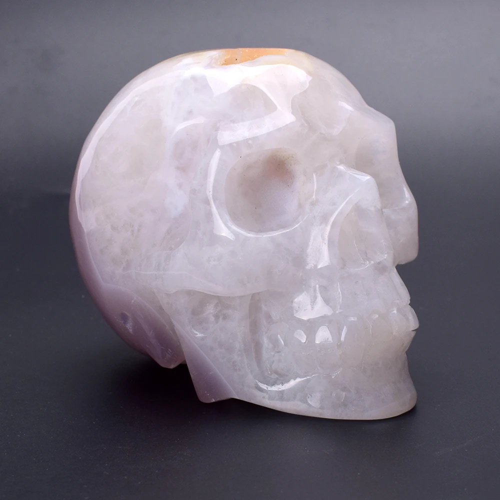 4.3'' Natural Agate Geode Skull Carved Realistic Quartz Crystal Skull Statue Healing Crystal Art Collection Home Decoration
4.3'' Natural Agate Geode Skull Carved Realistic Quartz Crystal Skull Statue Healing Crystal Art Collection Home Decoration