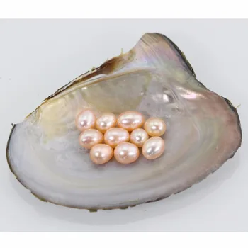 6-7m AAA Grade quality Natural Lavend rice oval irregular Natural freshwater Pearl Loose Beads DIY for Jewelry bracelet LO013
6-7m AAA Grade quality Natural Lavend rice oval irregular Natural freshwater Pearl Loose Beads DIY for Jewelry bracelet LO013