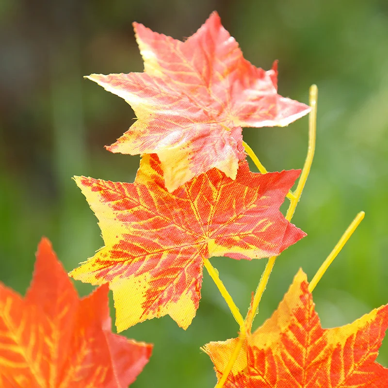 Artificial Flowers Maple Leaves Rattan Silk Maple Leaves Simulation Decorative Fake Fall Leaves For Home Wedding Party Decor
Artificial Flowers Maple Leaves Rattan Silk Maple Leaves Simulation Decorative Fake Fall Leaves For Home Wedding Party Decor