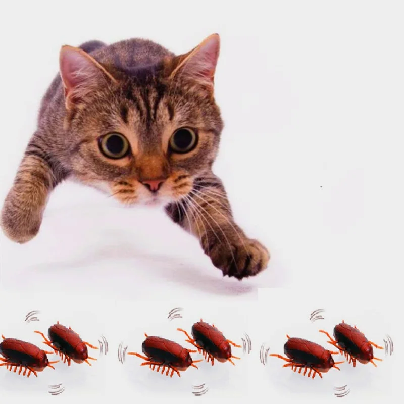 ZHPZPET Dog Cat Toy interactive electronic Cockroach Cat intelligence training Toy Fun Cat Toy interactive training pet products
ZHPZPET Dog Cat Toy interactive electronic Cockroach Cat intelligence training Toy Fun Cat Toy interactive training pet products