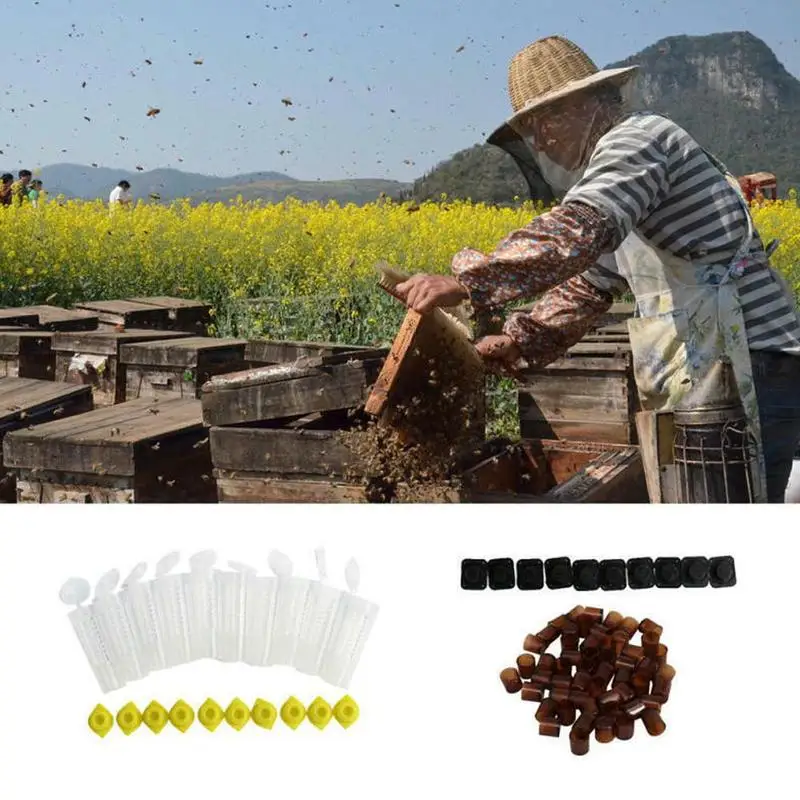 Beekeeping Cupkit 100 Cell Cups Bee Tool Set Queen Rearing System Bee Complete Catcher Cage Apiculture Helper Drop Shipping
Beekeeping Cupkit 100 Cell Cups Bee Tool Set Queen Rearing System Bee Complete Catcher Cage Apiculture Helper Drop Shipping