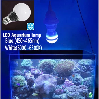 LED Aquarium Lamps - AC85~265V E27/E14/GU10, 6W / 10W / 14W, Provide Fish Tank Illumination And Water Plants Lighting Bulbs 
LED Aquarium Lamps - AC85~265V E27/E14/GU10, 6W / 10W / 14W, Provide Fish Tank Illumination And Water Plants Lighting Bulbs