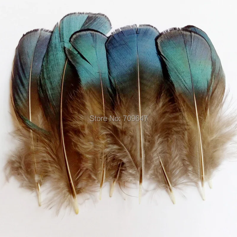 100PCS/LOT 4-8cm BLUE BRONZE Lady Amherst Pheasant Plumage Feathers for facinators earrings hair fly tying crafts
100PCS/LOT 4-8cm BLUE BRONZE Lady Amherst Pheasant Plumage Feathers for facinators earrings hair fly tying crafts