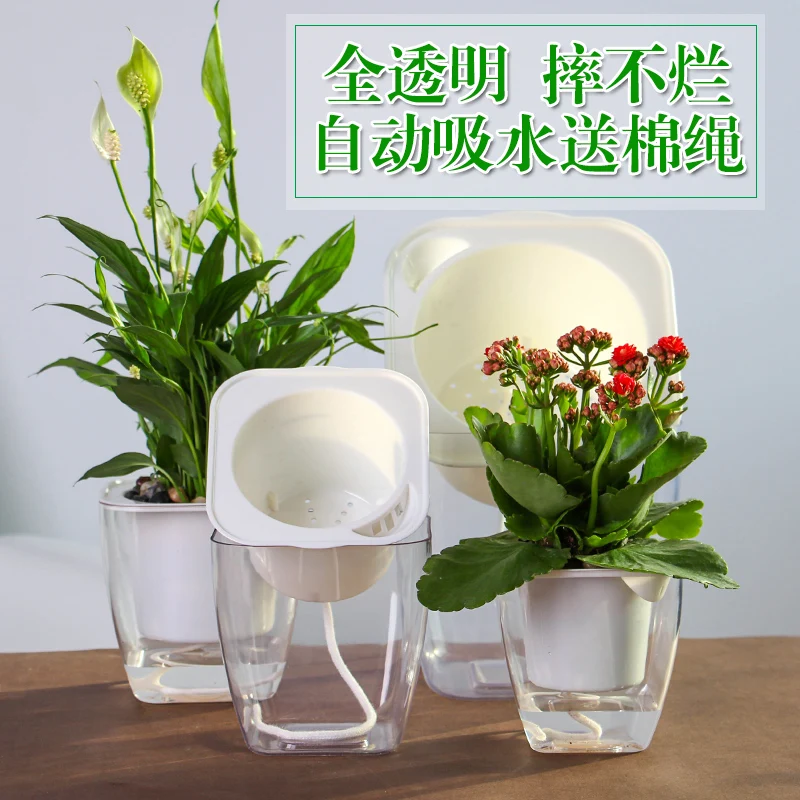 Hydroponics Flower Pots Resin Transparent Square Lazy Flower Pots Automatic Suction Basin Water Culture Green Radish
Hydroponics Flower Pots Resin Transparent Square Lazy Flower Pots Automatic Suction Basin Water Culture Green Radish