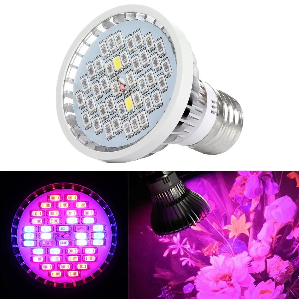 Newest Led Grow light ,30W E27 Bulbs Input 85~265V for Indoor Garden Greenhouse and Hydroponic Plants Full Spectrum Growing Lamp
Newest Led Grow light ,30W E27 Bulbs Input 85~265V for Indoor Garden Greenhouse and Hydroponic Plants Full Spectrum Growing Lamp