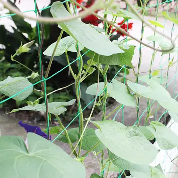 Garden Green Nylon Vegetable Plant Support Trellis Netting Fruit Tree Support Nets Bean Plant Climbing Grow Fence Anti-bird Net
Garden Green Nylon Vegetable Plant Support Trellis Netting Fruit Tree Support Nets Bean Plant Climbing Grow Fence Anti-bird Net