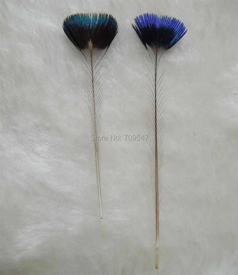 Rare Feathers! 10Pcs/Lot 5-6cm Long NATURAL PEACOCK CROWN FEATHERS-Fly Tying Material,Rare Peacock Feathers
Rare Feathers! 10Pcs/Lot 5-6cm Long NATURAL PEACOCK CROWN FEATHERS-Fly Tying Material,Rare Peacock Feathers