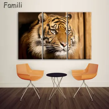 3 Panel Blue-eyed White Tiger Canvas Painting Oil Painting Print On Canvas Home Decor Art Wall Picture For Living Room Unframed
3 Panel Blue-eyed White Tiger Canvas Painting Oil Painting Print On Canvas Home Decor Art Wall Picture For Living Room Unframed