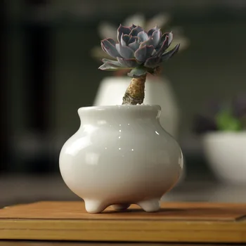 5.4x5.4x7cm Creative simple white fleshy small pile of old ceramics cute little round belly mouth pot pots wholesale
5.4x5.4x7cm Creative simple white fleshy small pile of old ceramics cute little round belly mouth pot pots wholesale