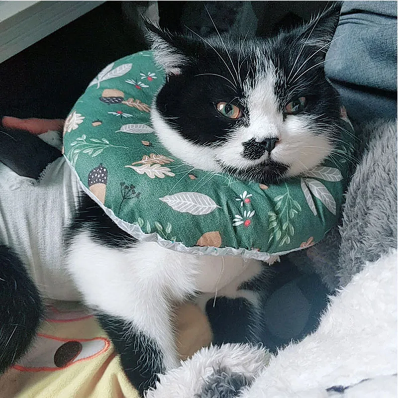 Comfy Pet E-Collar for Small Dogs and Cats Elizabethan Collar Soft Cotton Filled Puppy Dog Cat Recovery Neck Collar XS S M L
Comfy Pet E-Collar for Small Dogs and Cats Elizabethan Collar Soft Cotton Filled Puppy Dog Cat Recovery Neck Collar XS S M L