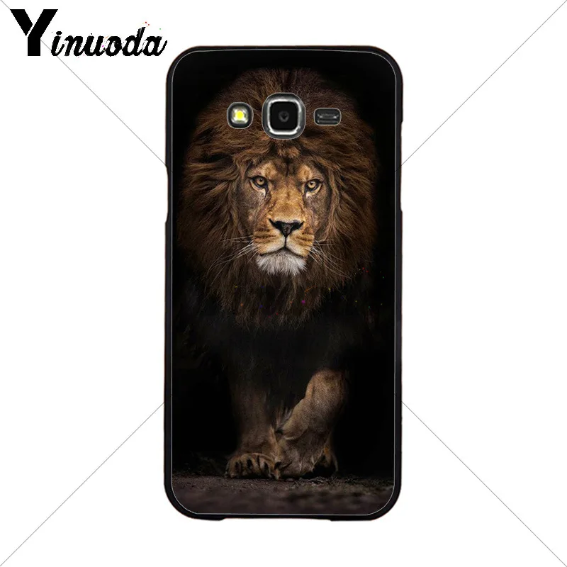 Animals The lion