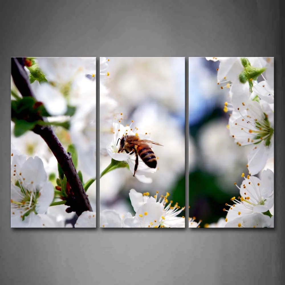 Framed Wall Art Pictures Bee Flower Honey Canvas Print Animal Modern Poster With Wooden Frame For Home Living Room Decor
Framed Wall Art Pictures Bee Flower Honey Canvas Print Animal Modern Poster With Wooden Frame For Home Living Room Decor