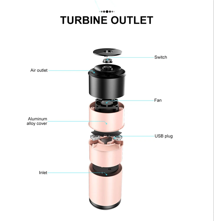 Ionic Air Purifier