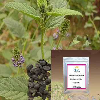 Psoralea corylifolia extract powder/Pain relief/Treatment of alopecia/good effect/Free transportation
Psoralea corylifolia extract powder/Pain relief/Treatment of alopecia/good effect/Free transportation
